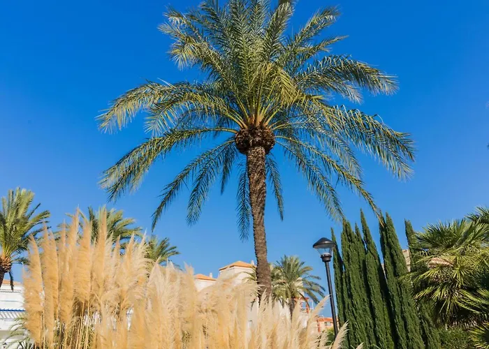 Apartment Cala Blanca By Interhome Denia